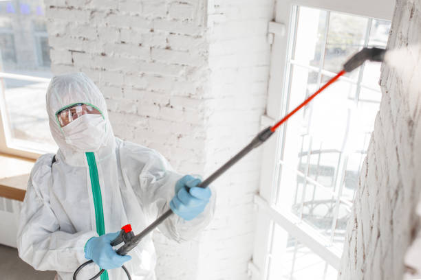 Best Post-Remediation Verification Testing  in Lyons, GA
