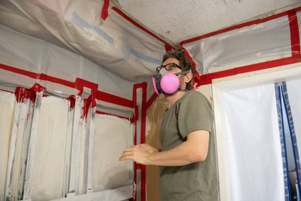 Best HVAC Mold Inspection and Cleaning  in Lyons, GA