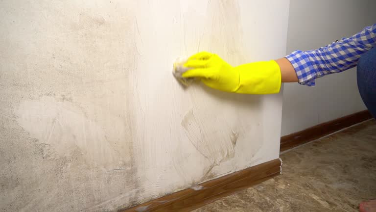 Best Dehumidification Services  in Lyons, GA