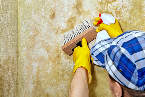 Dehumidification Services in Lyons, GA