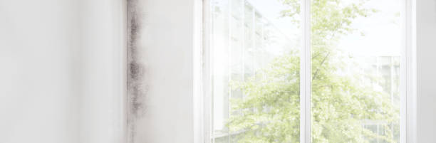 Best Asbestos and Lead Testing During Mold Inspection  in Lyons, GA