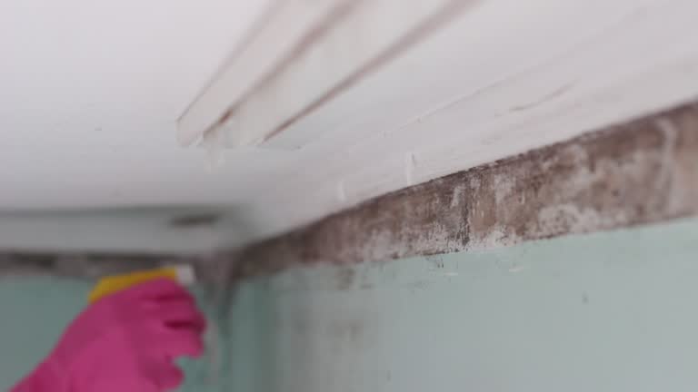 Best Air Quality Testing for Mold Spores  in Lyons, GA