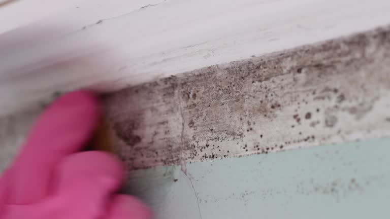 Biohazard Mold Removal in Lyons, GA